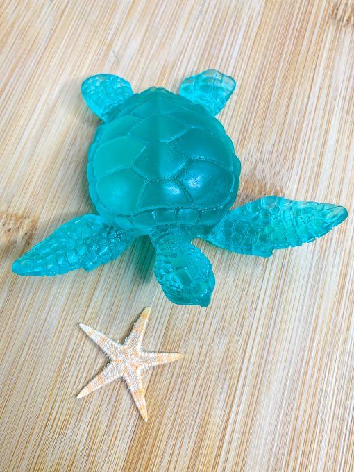 Tortue turquoise translucide 