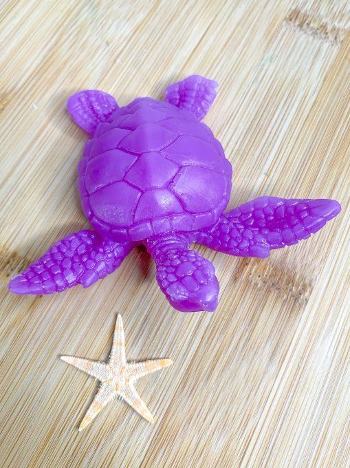 Tortue violette