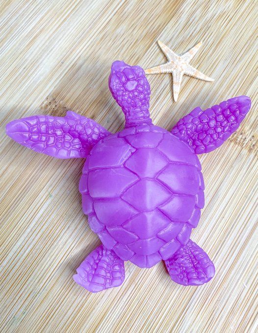 Tortue violette