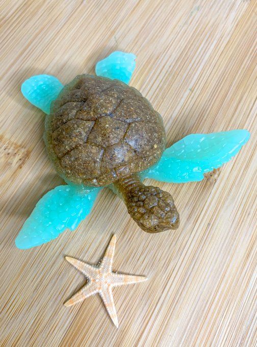 Tortue sable et vert d'eau