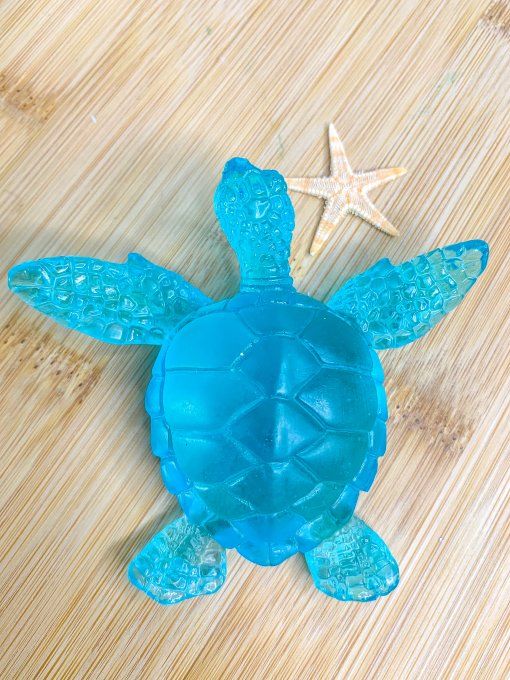 Tortue bleue clair translucide 