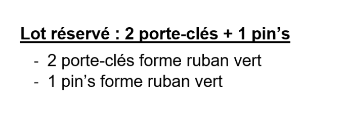 Lot réservé Julie : 2 porte-clés + 1 pin's