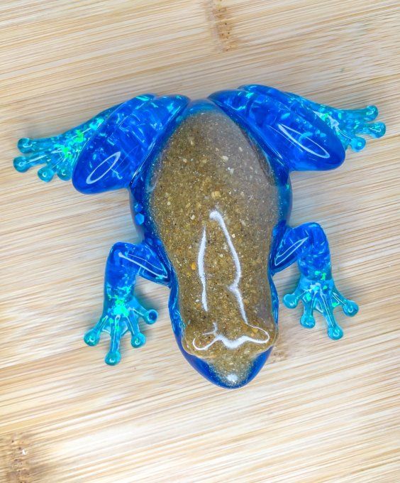 Grenouille bleue holo et sable