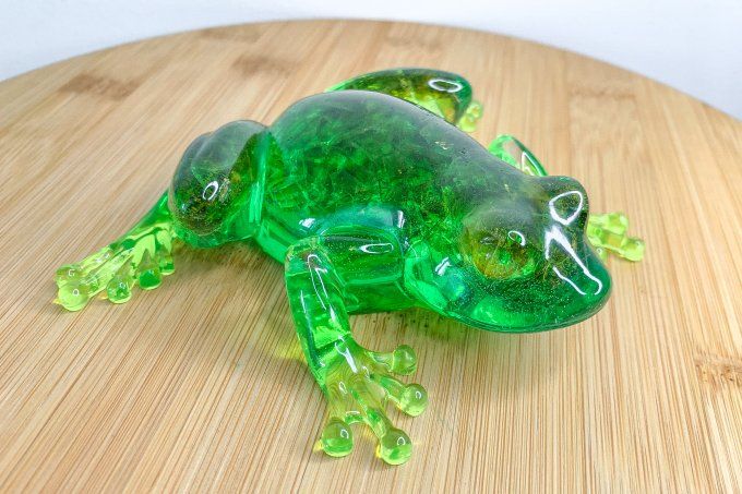 Grenouille verte avec verre pilé 