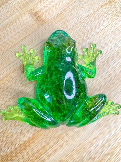 Grenouille verte avec verre pilé 