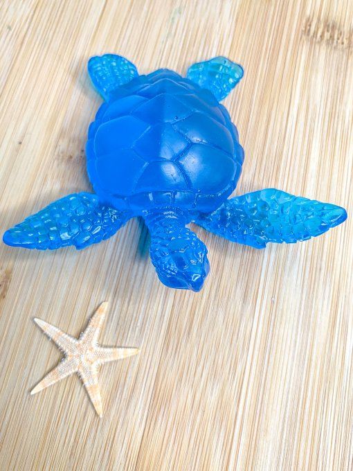 Tortue 100% bleue