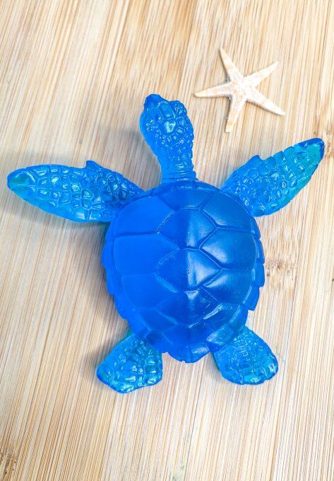 Tortue 100% bleue