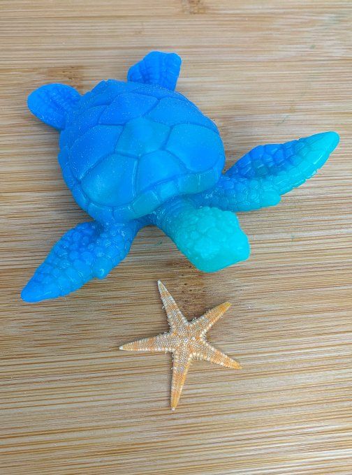 Tortue bleue et turquoise