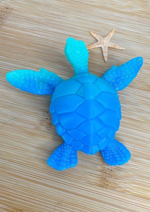 Tortue bleue et turquoise