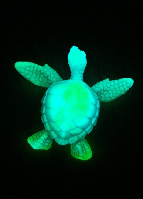 Tortue FLUO bleue et verte