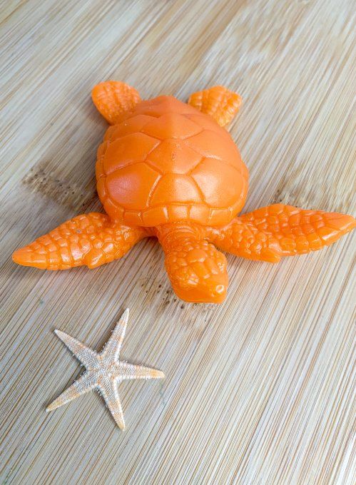 Tortue orange