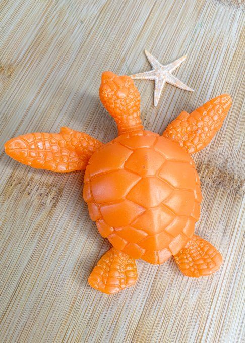 Tortue orange