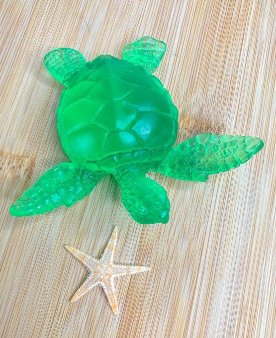 Tortue verte transparente 