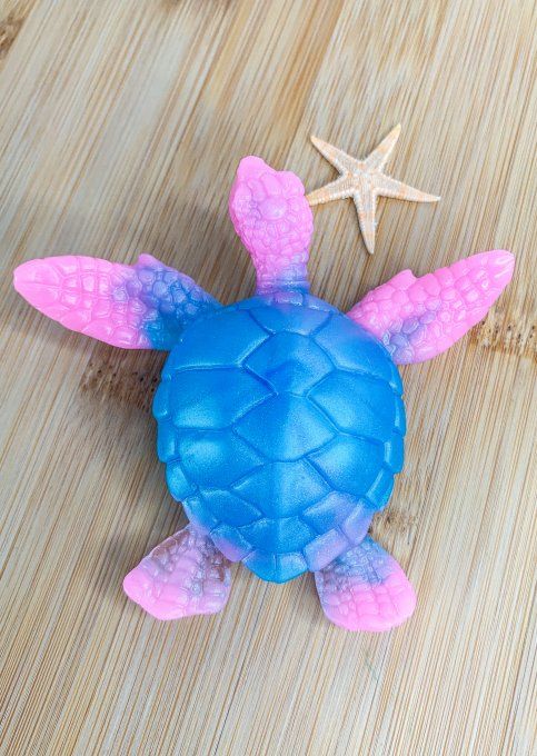 Tortue rose et bleue