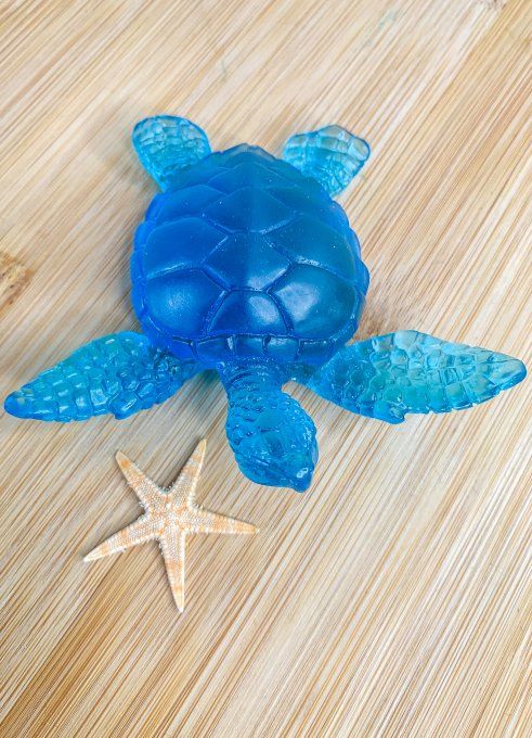 Tortue bleue transparente