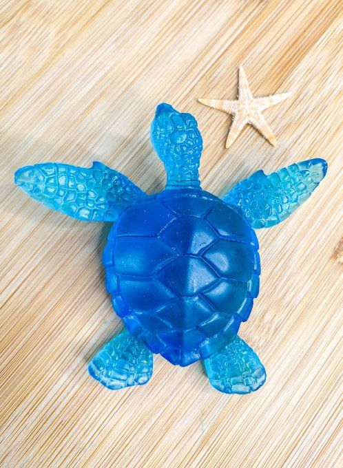 Tortue bleue transparente