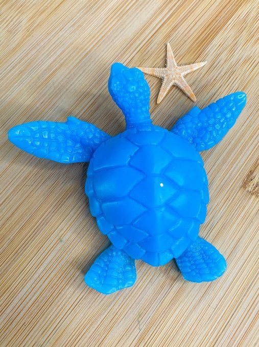 Tortue 100% bleue