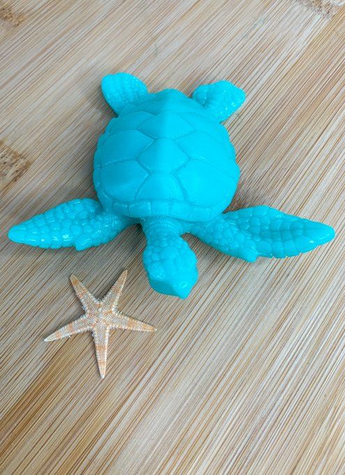 Tortue 100% turquoise pastel