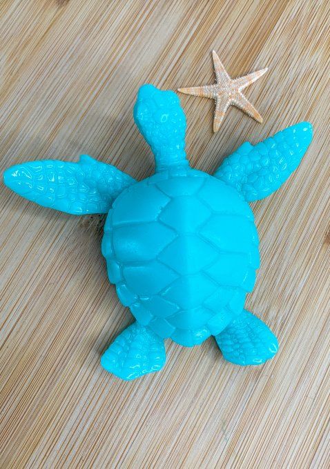 Tortue 100% turquoise pastel