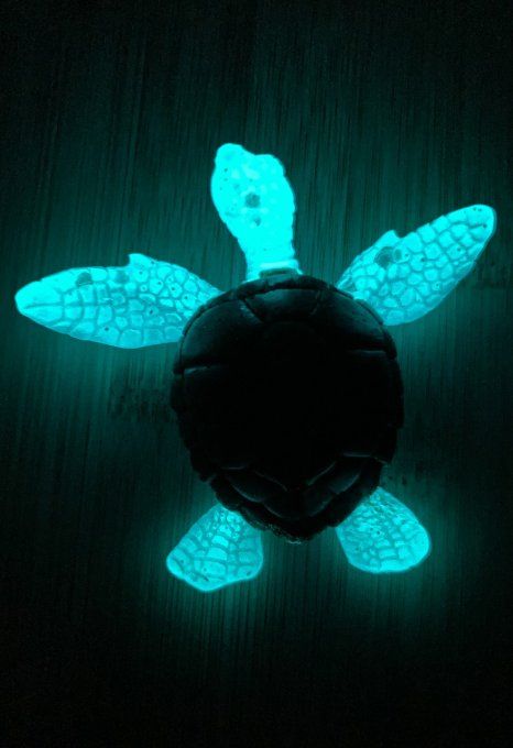 Tortue sable et bleu fluorescent avec paillettes