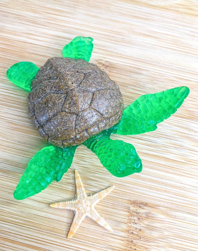 Petite tortue verte/sable